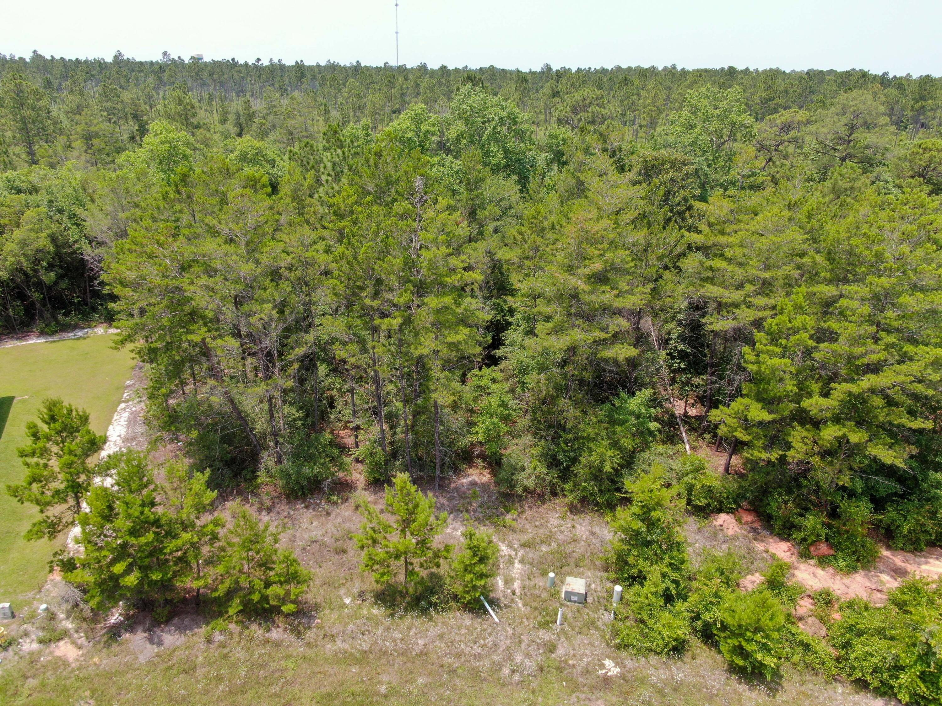Lot 24 Perimeter Place Freeport, FL 32439 - Photo 7 of 7 a view of a forest with a tree