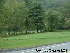 0 Rt706 Montrose, PA 18828 - Photo 4 of 4 Gallery Image 4