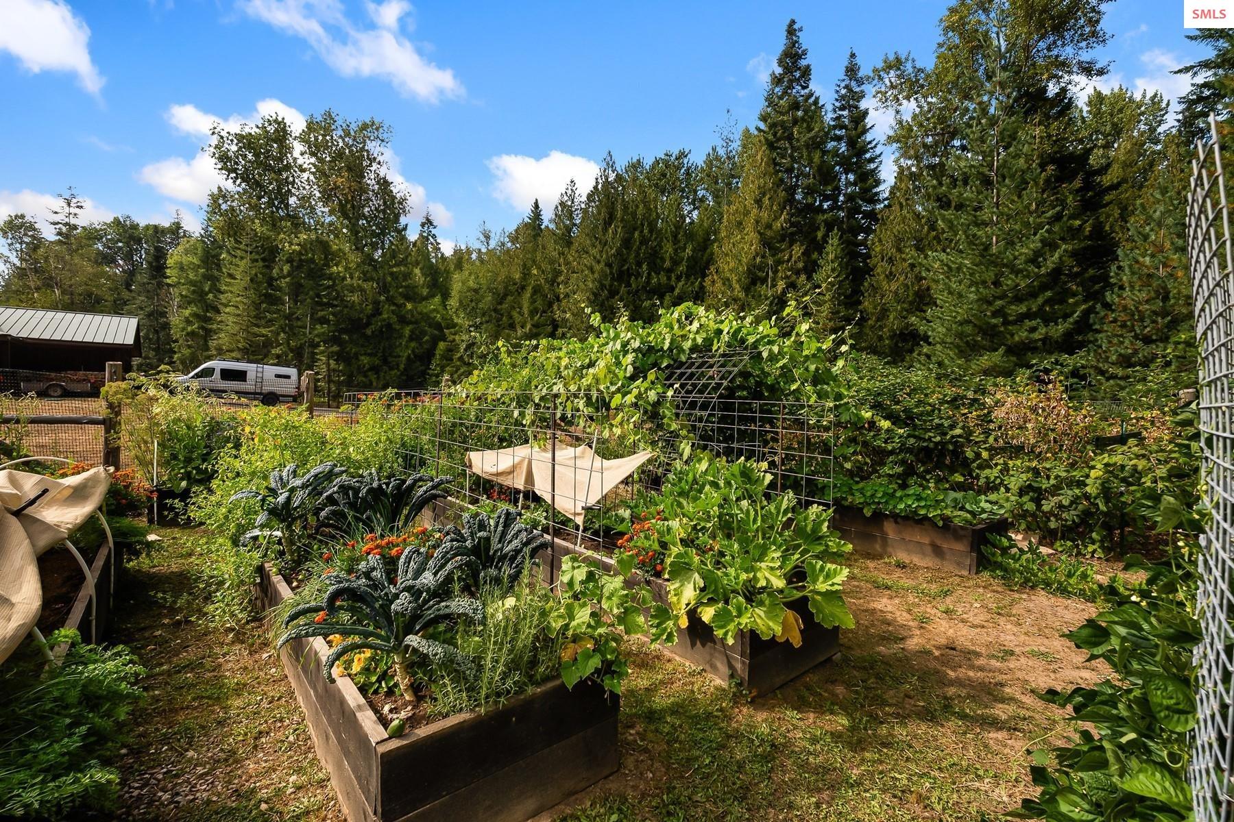 7017-7019 Colburn Culver Road Sandpoint, ID 83864 - Photo 35 of 75 Plant and tend your favorite varieties of plantings and reap the harvest