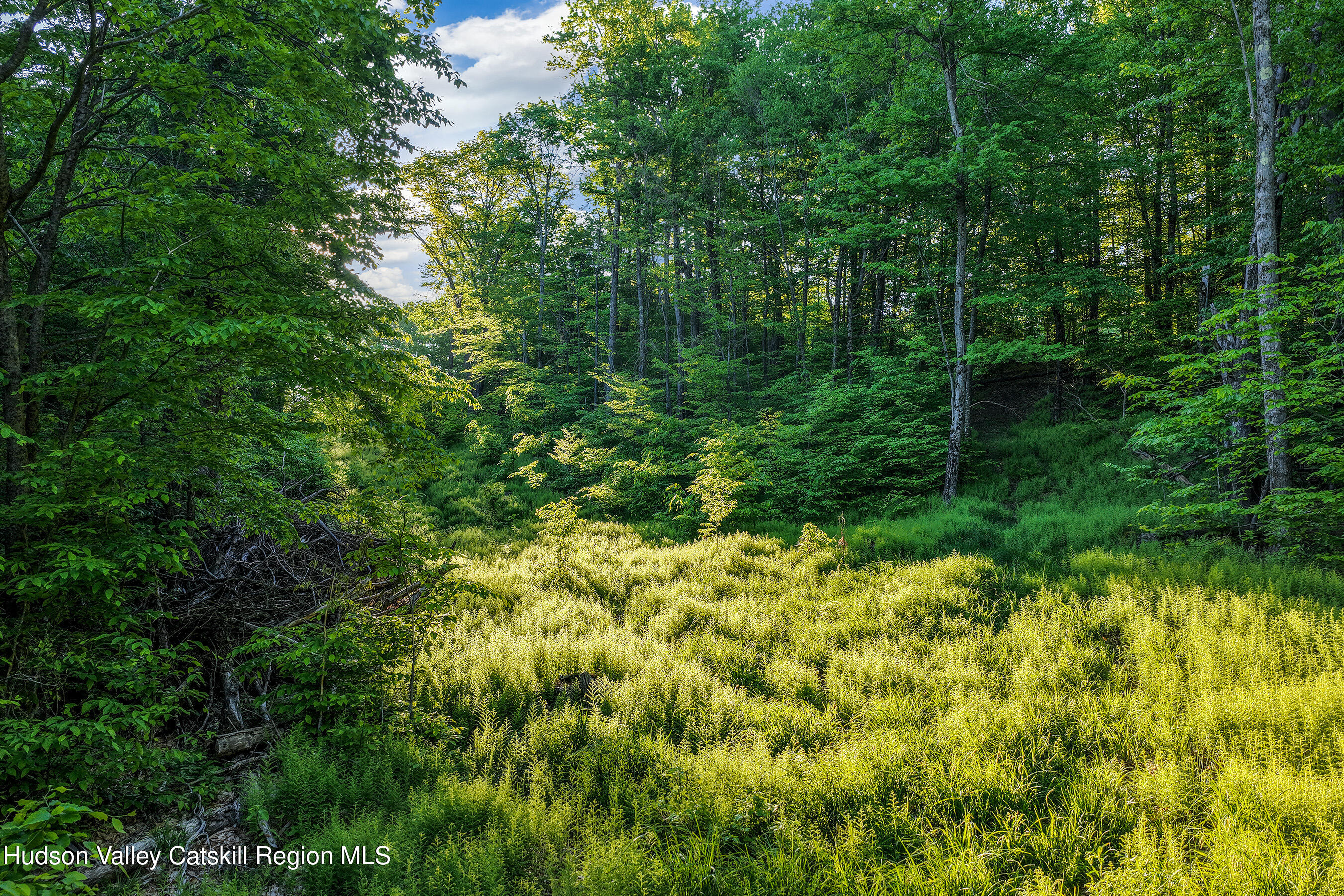 0 Frank Slawson Road Oneonta, NY 13820 - Photo 9 of 29 DJI_20260603070955_0503_D-Edit