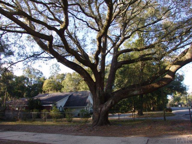 4639 Santa Rosa Drive Pace, FL 32571 - Photo 32 of 32 Gallery Image 32