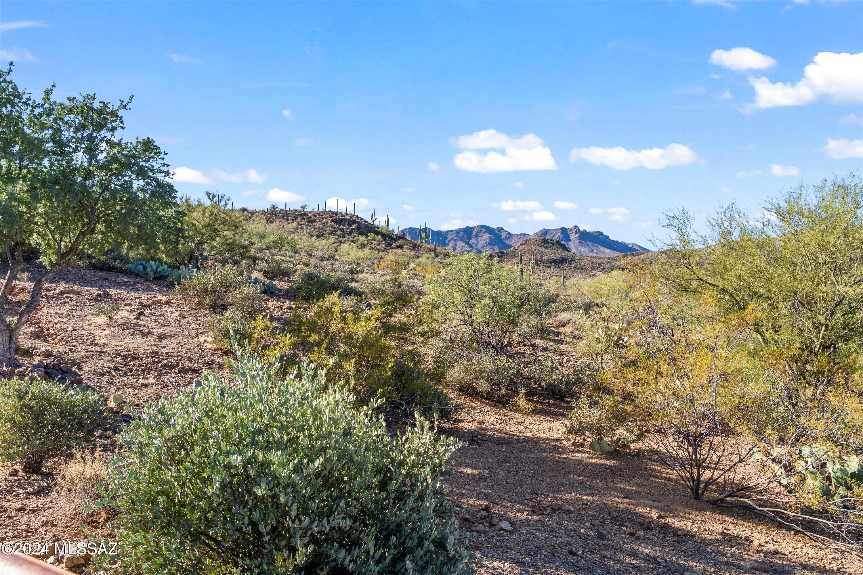 4167 North Gerhart Road Tucson, AZ 85745 - Photo 44 of 46 Gallery Image 44