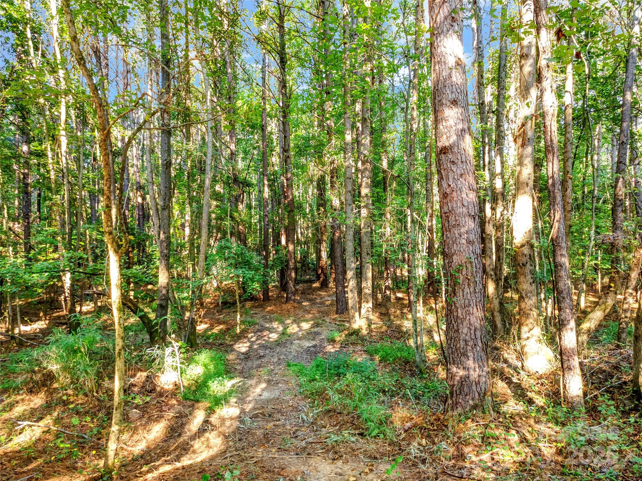 0 Lawrence Road Cherryville, NC 28021 - Photo 5 of 7 a view of yard