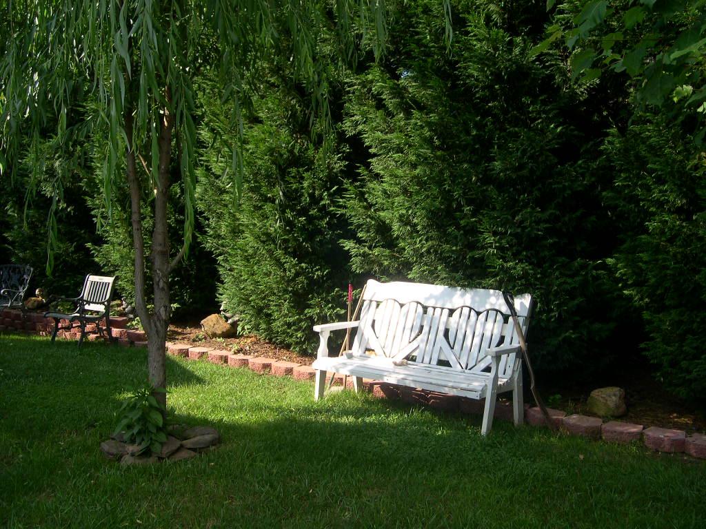 1770 Meadows Road Vinton, VA 24179 - Photo 32 of 37 a view of backyard with sitting area