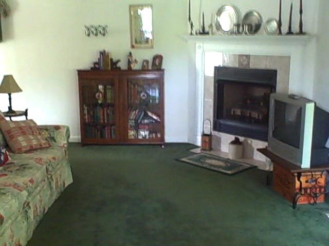 1770 Meadows Road Vinton, VA 24179 - Photo 5 of 37 a living room with furniture and a fireplace
