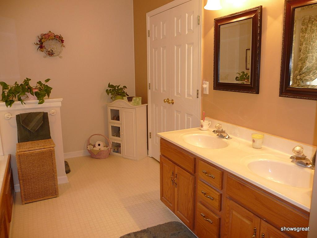 1770 Meadows Road Vinton, VA 24179 - Photo 9 of 37 a bathroom with a sink and a mirror