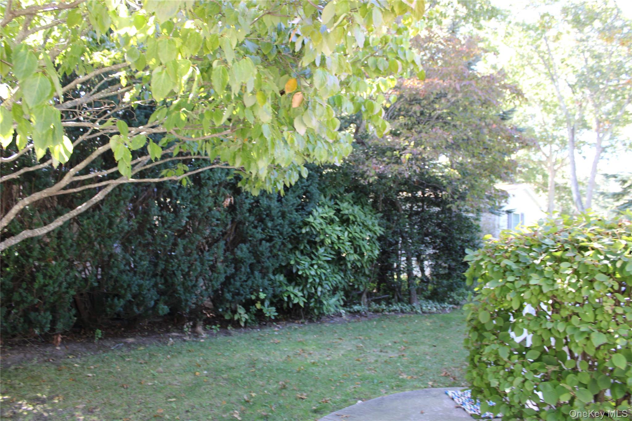 1661 Old Country Road, Unit 77 Riverhead, NY 11901 - Photo 8 of 30 Gallery Image 8