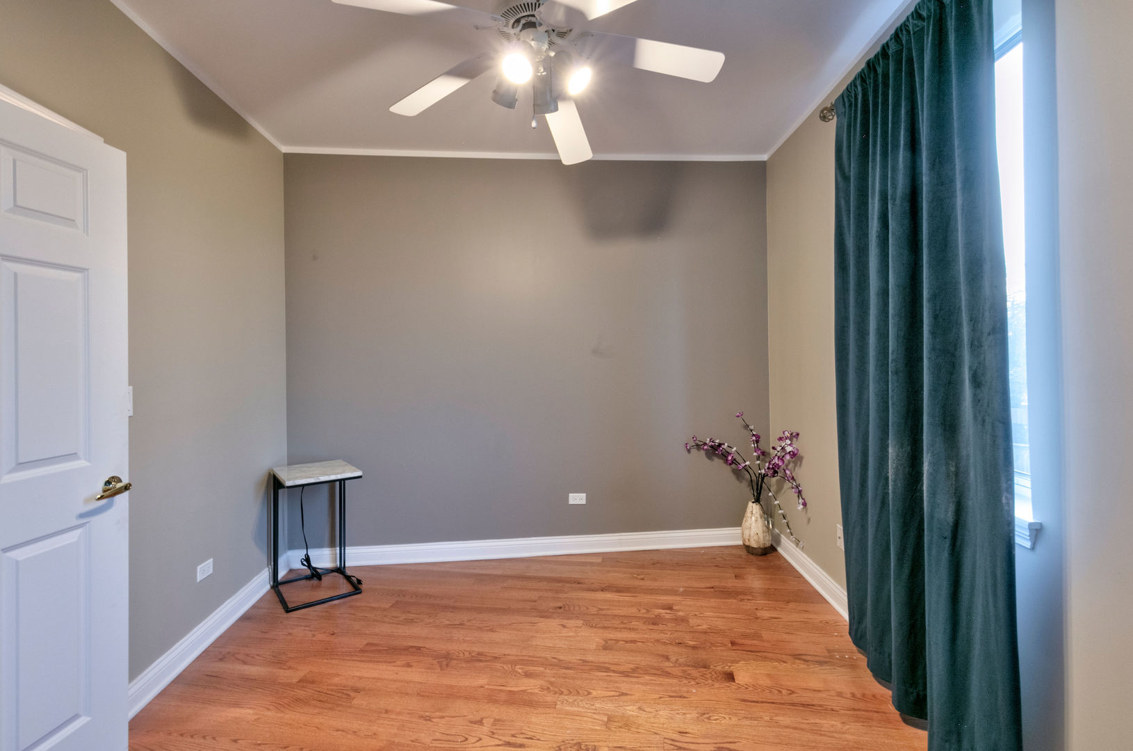 7746 North Sheridan Road, Unit 2L Chicago, IL 60626 - Photo 18 of 22 a view of a livingroom with a potted plant