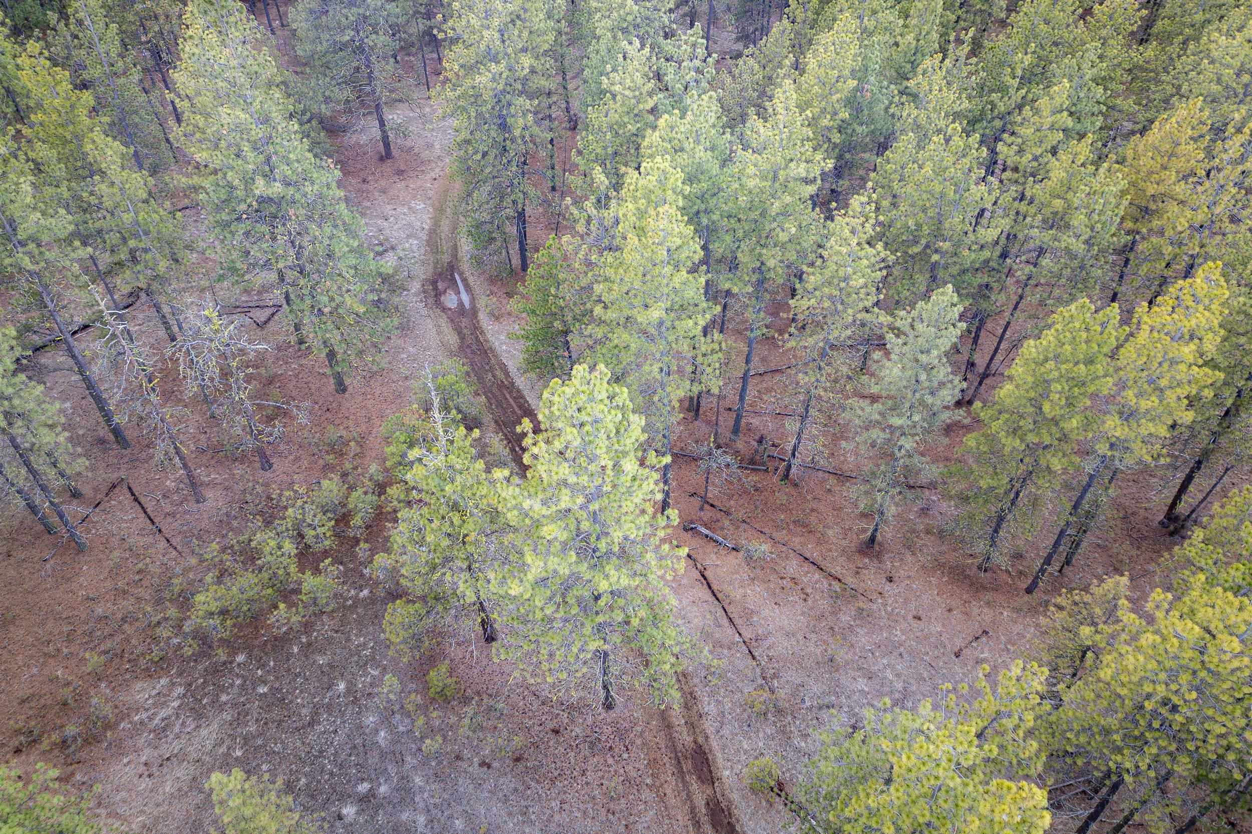 8700 South Stangland Road Medical Lake, WA 99022 - Photo 11 of 25