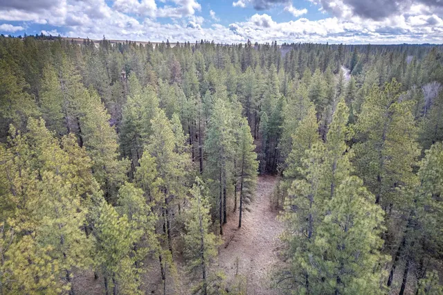 $319,000 | 8700 South Stangland Road, Medical Lake, WA 99022