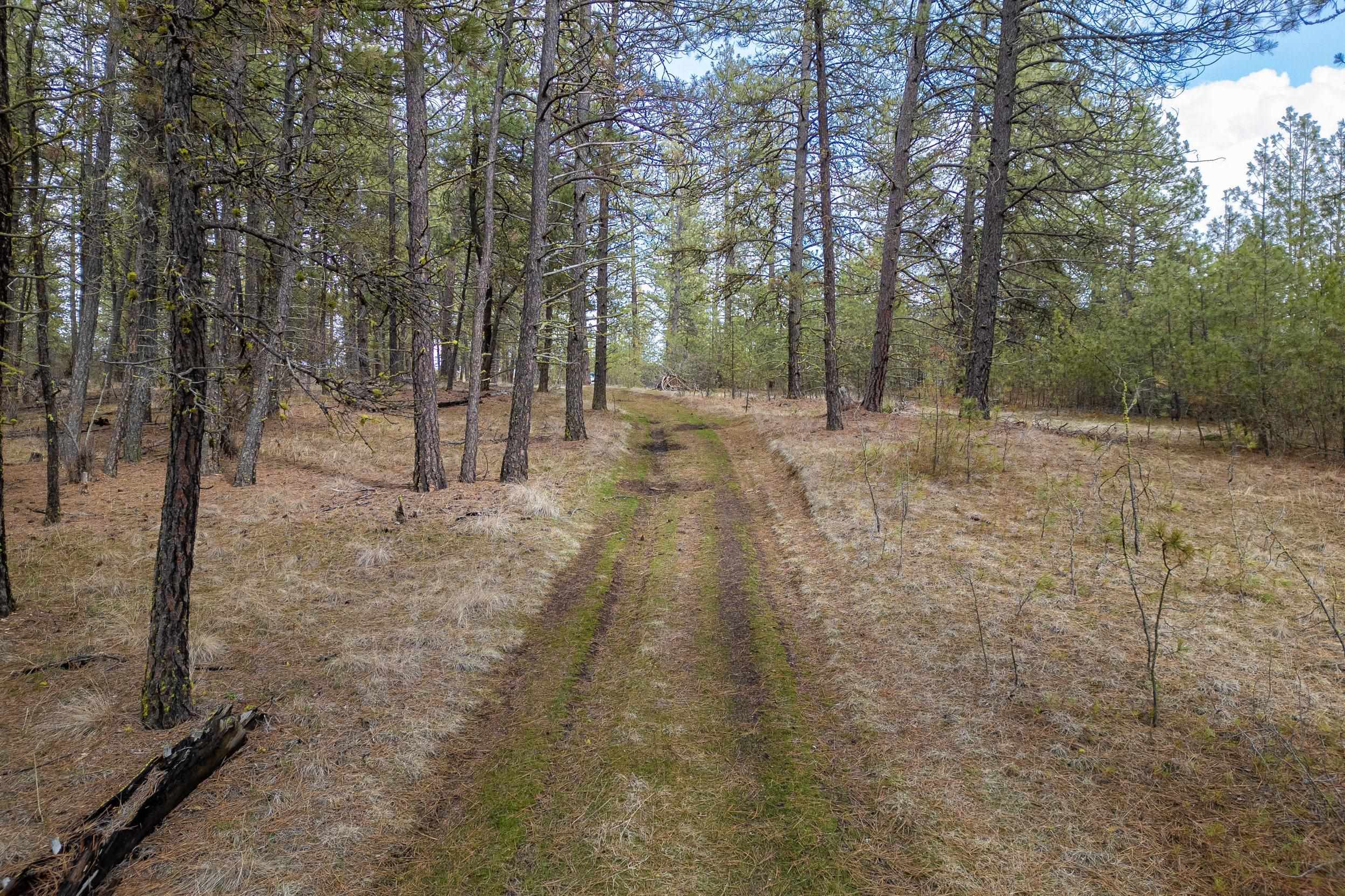 8700 South Stangland Road Medical Lake, WA 99022 - Photo 3 of 25