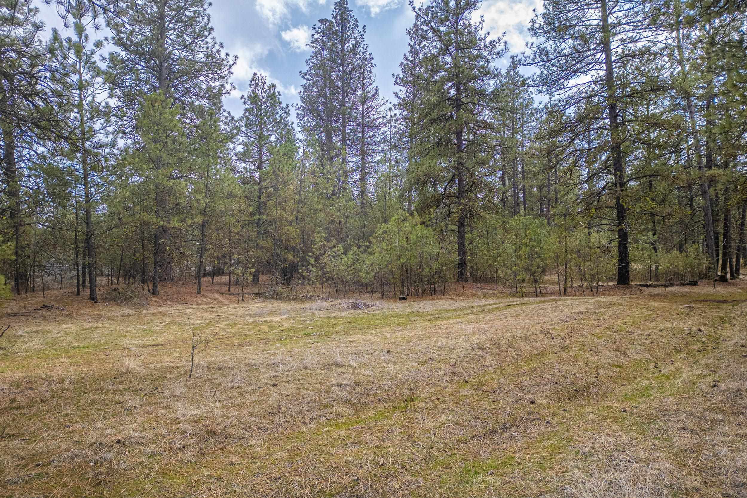 8700 South Stangland Road Medical Lake, WA 99022 - Photo 4 of 25