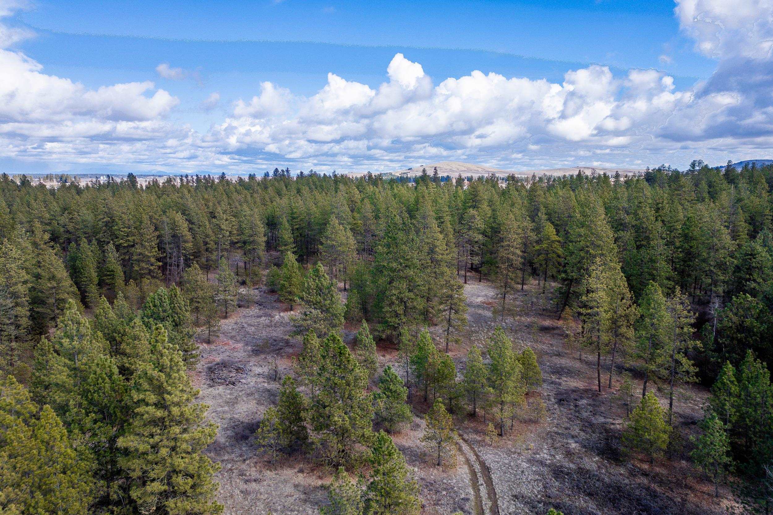 8700 South Stangland Road Medical Lake, WA 99022 - Photo 6 of 25