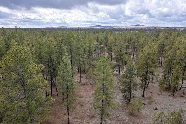 $319,000 | 8700 South Stangland Road, Medical Lake, WA 99022