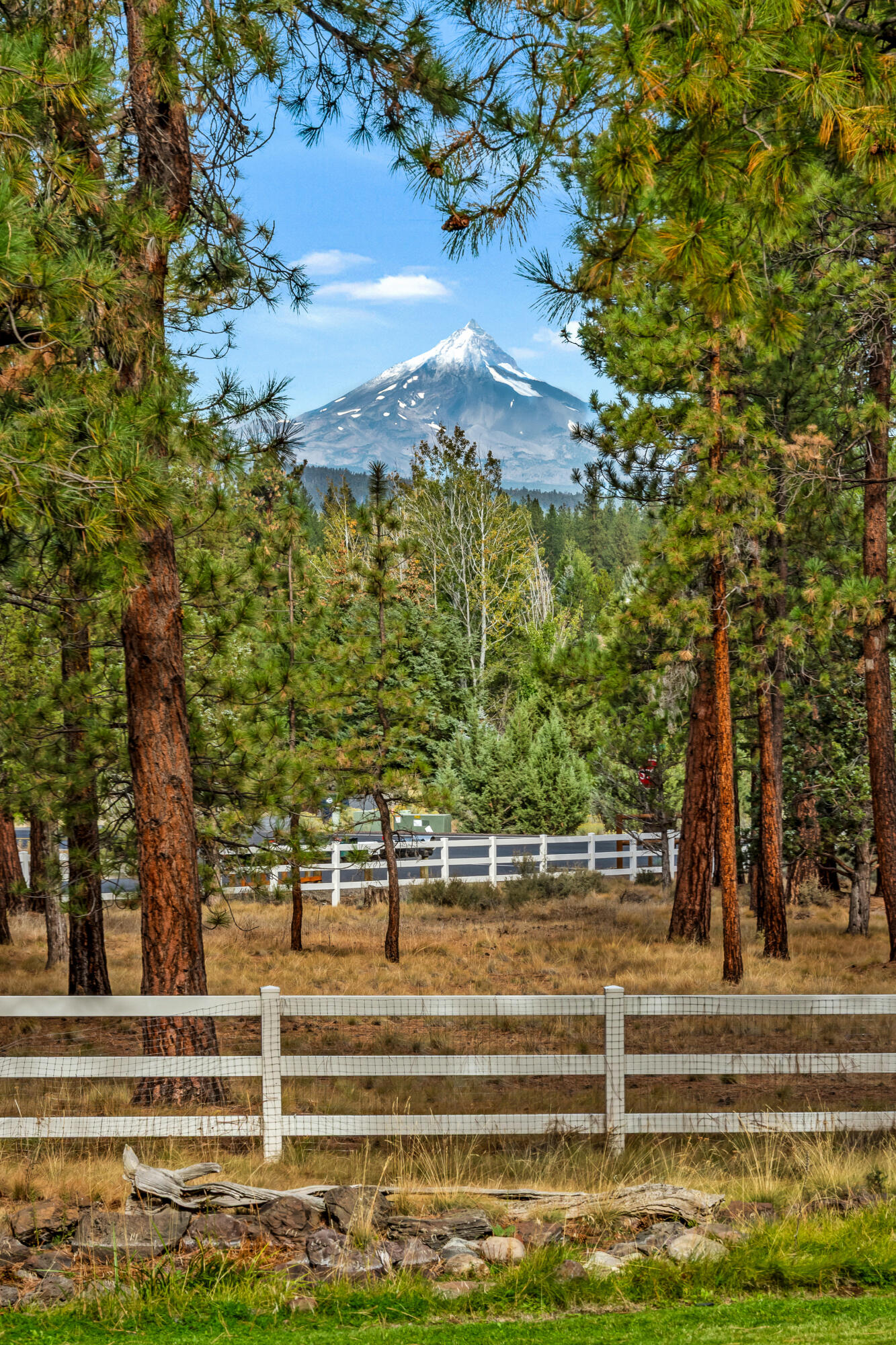 69550 Deer Ridge Road Sisters, OR 97759 - Photo 3 of 69 03.5