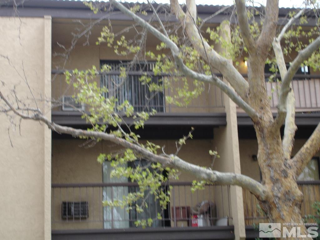 a picture of a tree