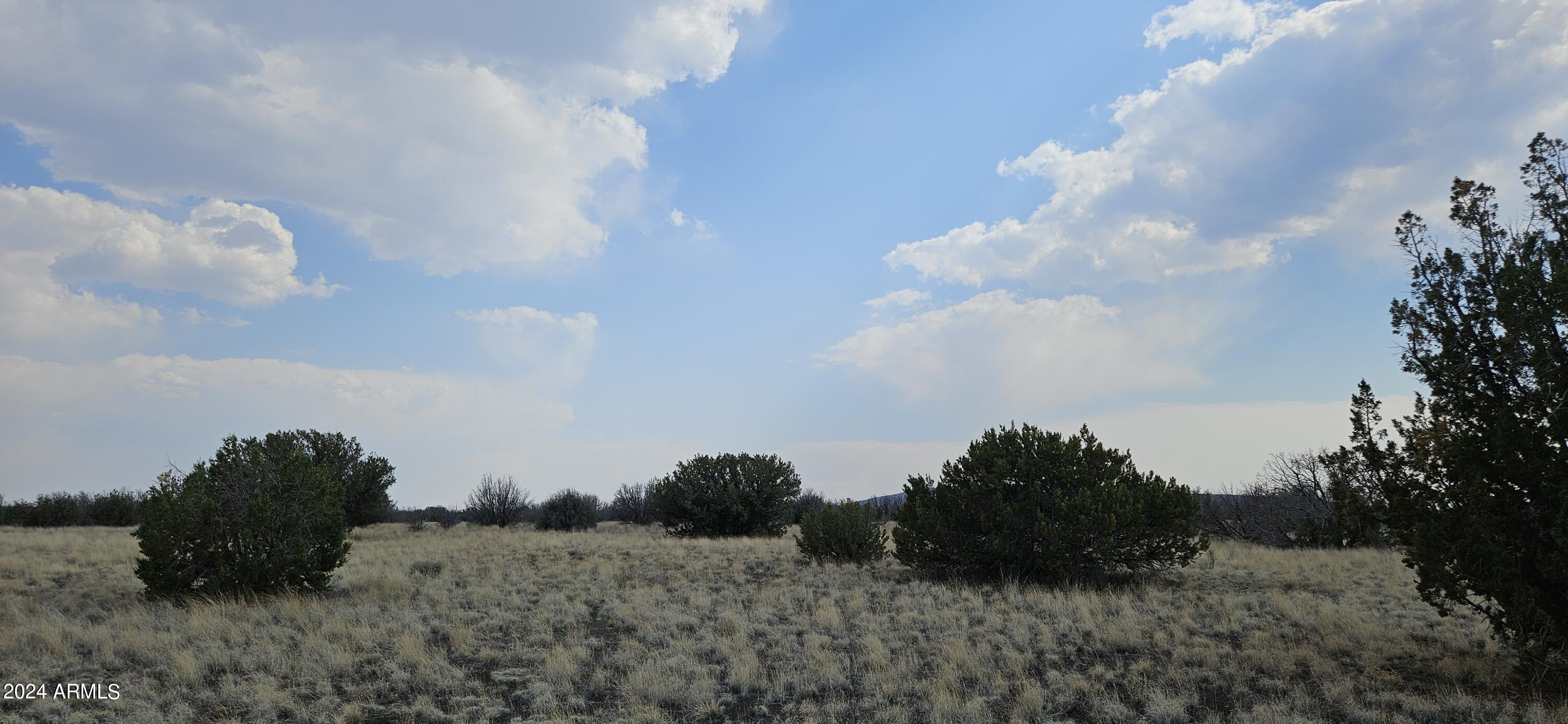 17 Walking Cane Ranch Road Flagstaff, AZ 86004 - Photo 8 of 21 20240711_160543