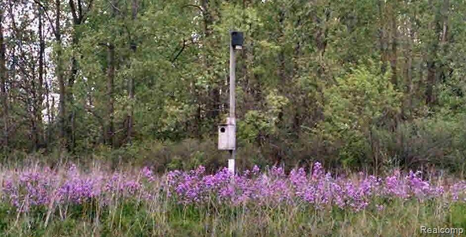 9579 Liedel Road Maybee, MI 48159 - Photo 32 of 34 Spring.jpeg