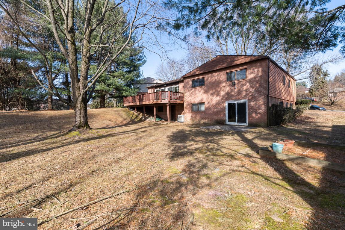 2025 Jolly Road Baltimore, MD 21209 - Photo 43 of 44 Beautiful yard!