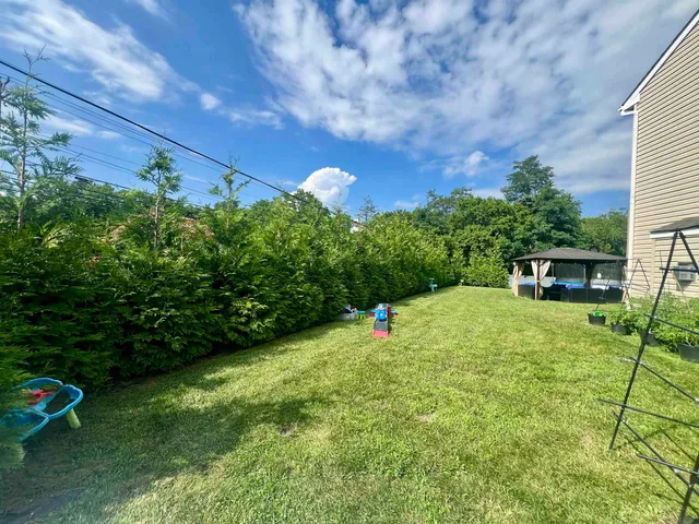 a view of a backyard with plants and a garden