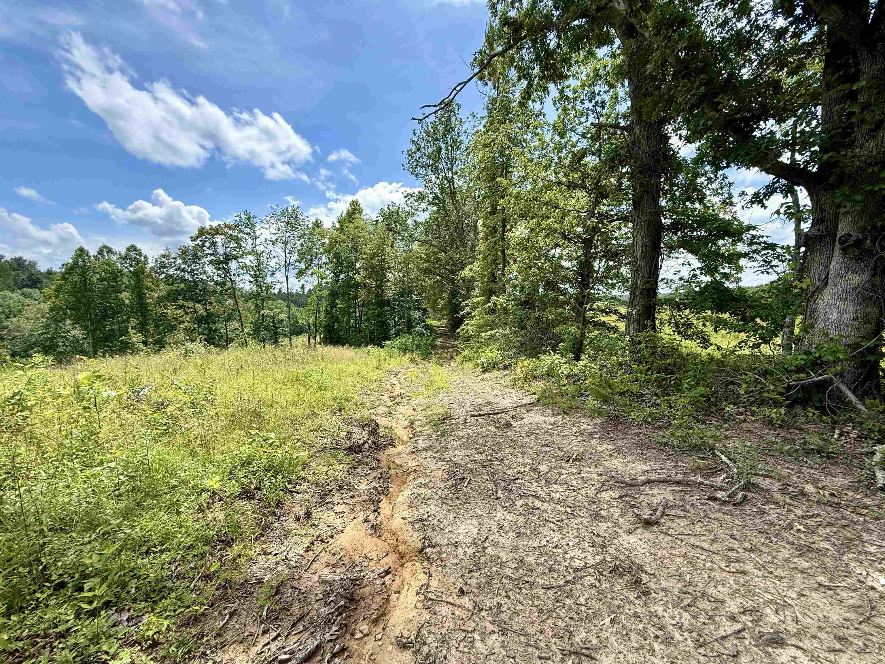 1481 Kellacey Road West Liberty, KY 41472 - Photo 8 of 23