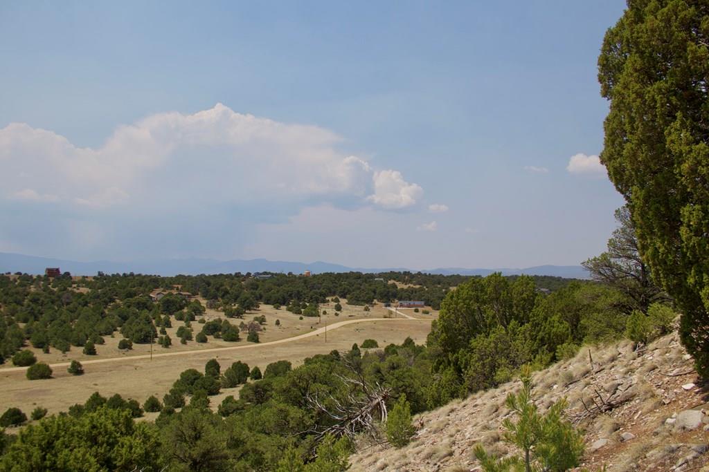 Unit #4 Unit Road Walsenburg, CO 81089 - Photo 23 of 36