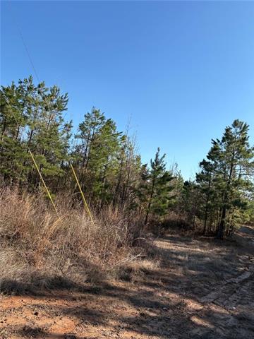 120 Rd Flora La Robeline, LA 71469 - Photo 2 of 2