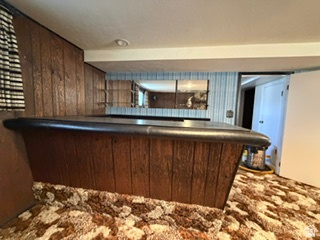 588 North 4500 West West Point, UT 84015 - Photo 28 of 61 Built-in bar with wood-finish paneling, mirror, and shelving, complemented by wall paneling and patterned carpeting