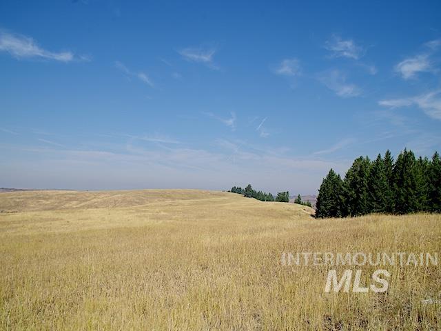 Tbd Tbd Ditch Creek Road Council, ID 83612 - Photo 1 of 11