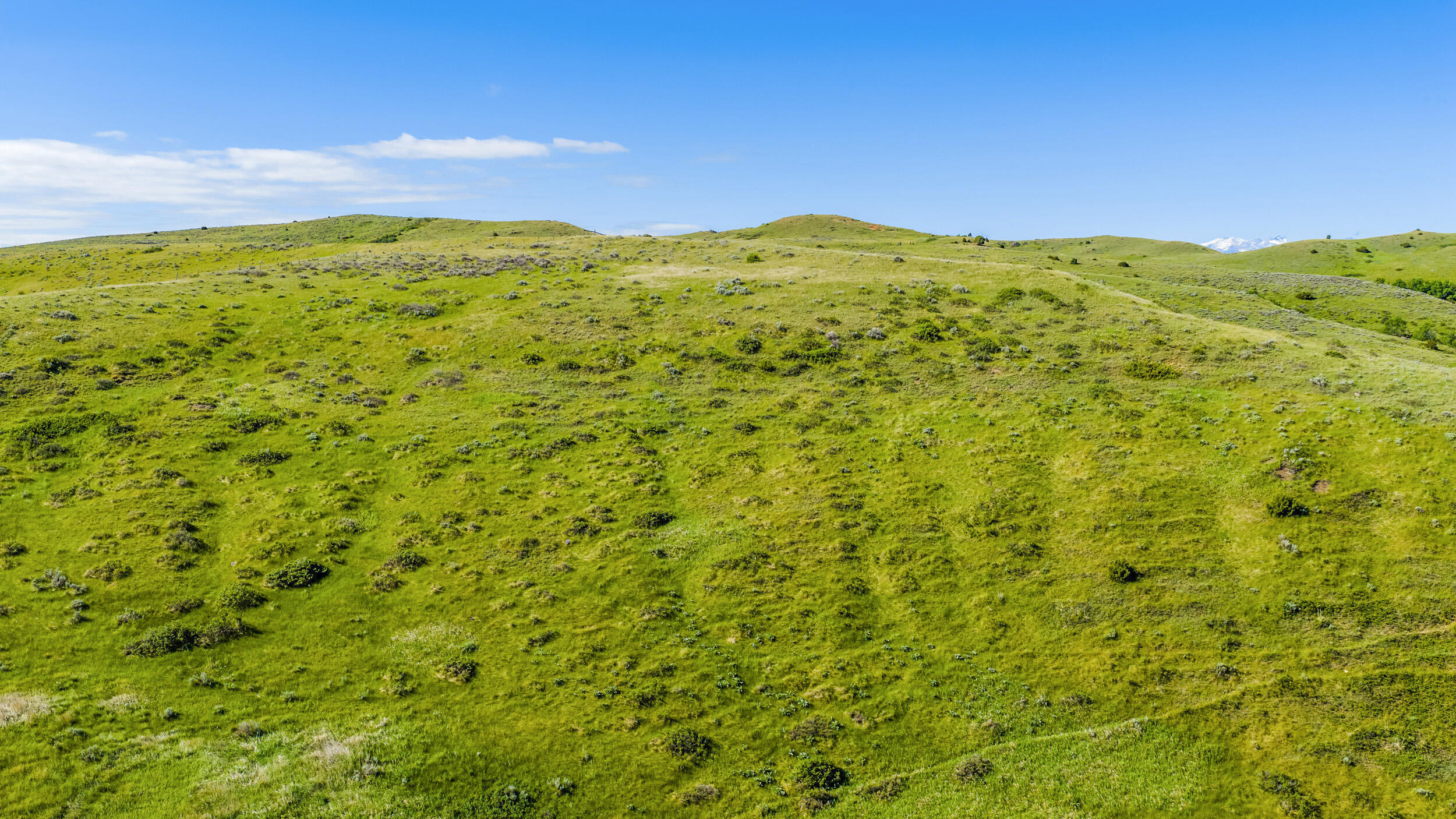 490 Cat Creek Road Sheridan, WY 82801 - Photo 54 of 71 490 cat creek 23
