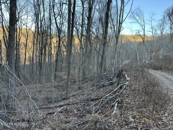 $45,900 | 0 Stone Rdg Road, Pikeville, TN 37367