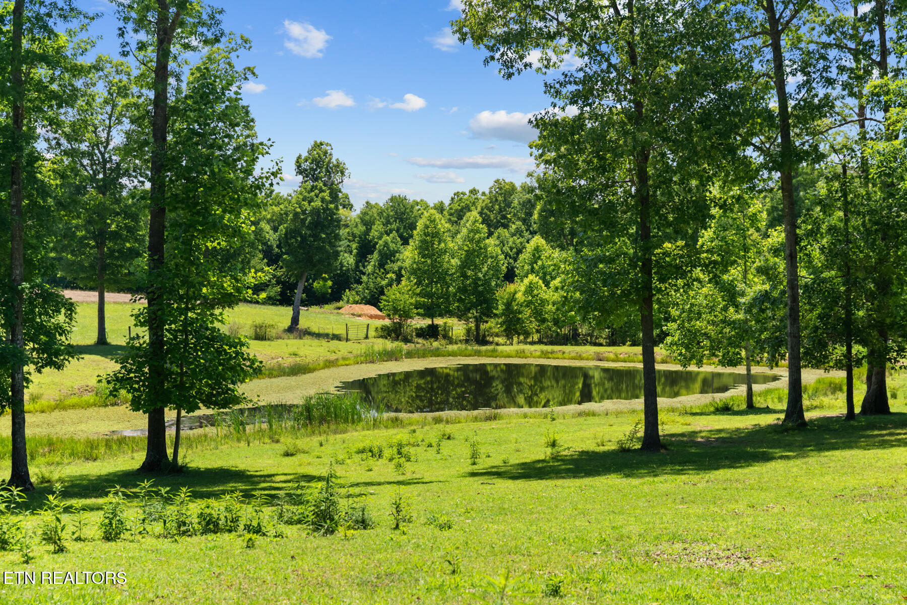 5171 Wilder Road Grimsley, TN 38565 - Photo 56 of 59 DSC03178