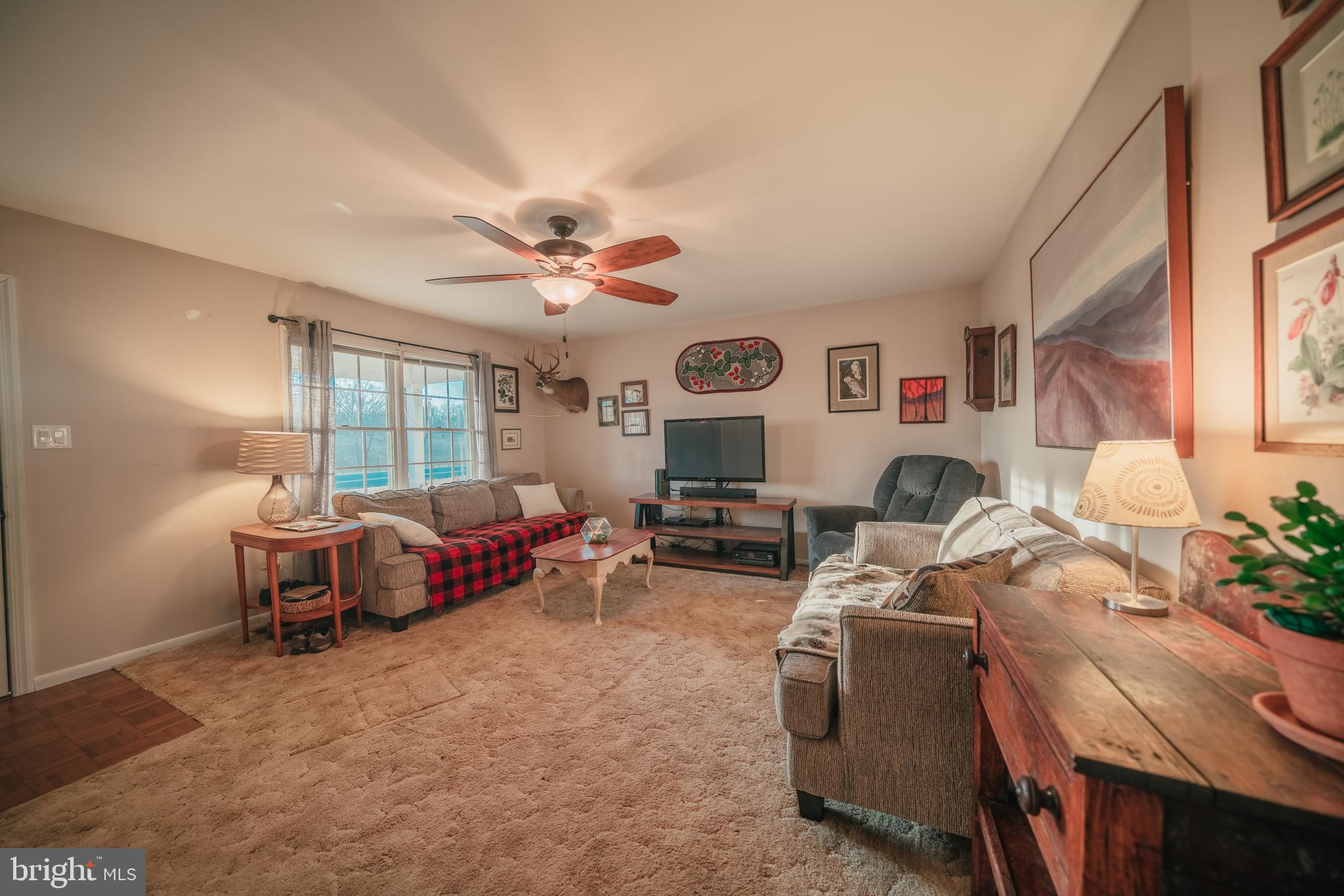 6477 Waterford Road Rixeyville, VA 22737 - Photo 6 of 41 Living room with ceiling fan