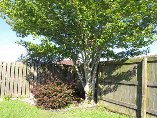 8847 Caitlin Street Foley, AL 36535 - Photo 41 of 43 Mature Landscaping