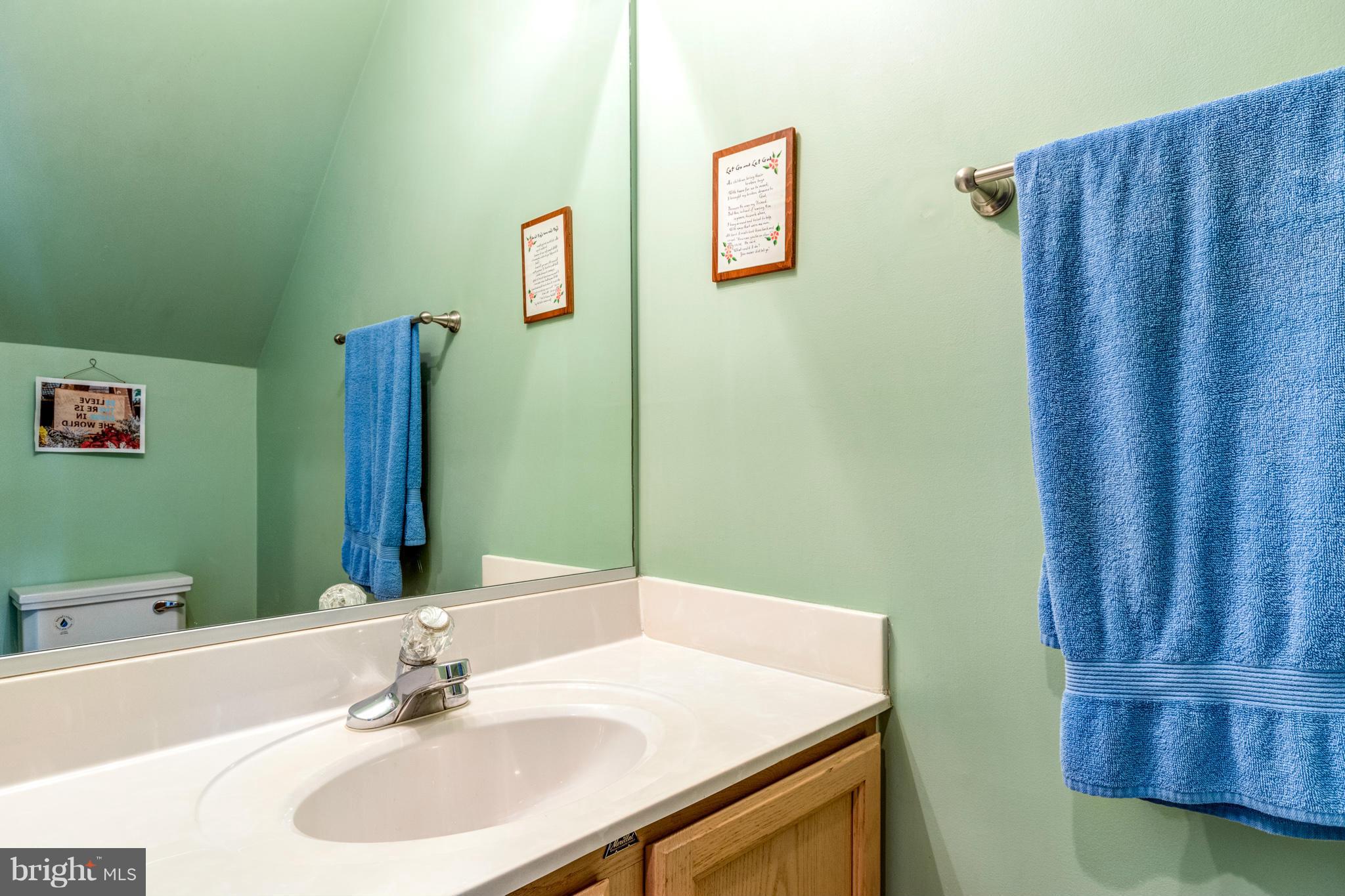 2438 Winding Ridge Road Odenton, MD 21113 - Photo 10 of 20 Bath