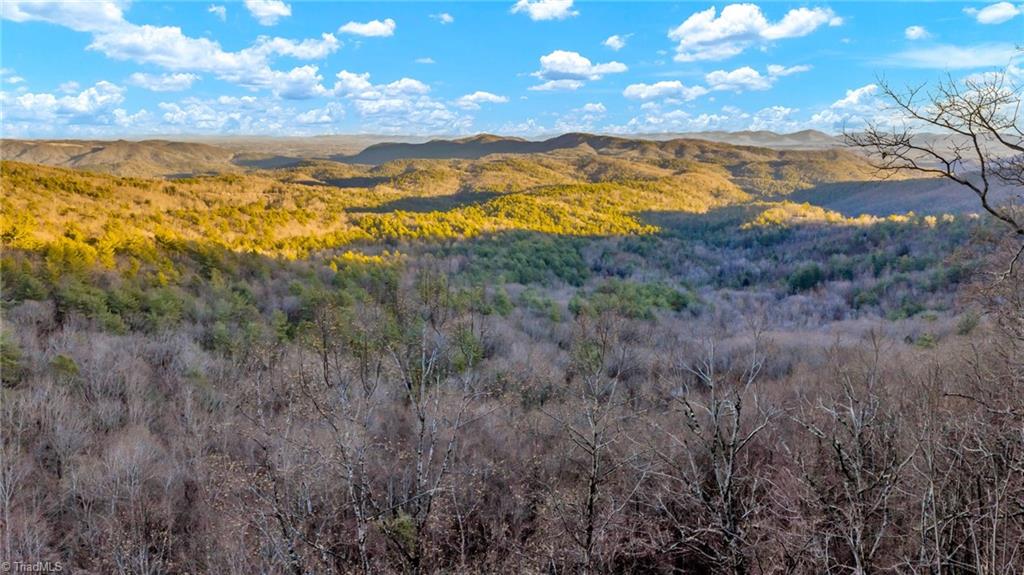 Tbd Lump Road Purlear, NC 28665 - Photo 1 of 25