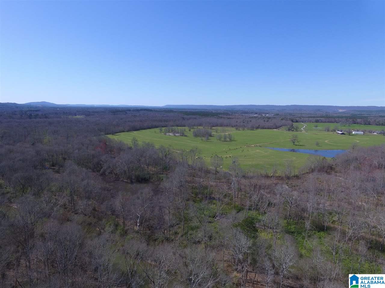 0 Double Bridge Road, Unit 286 Ashville, AL 35953 - Photo 8 of 34