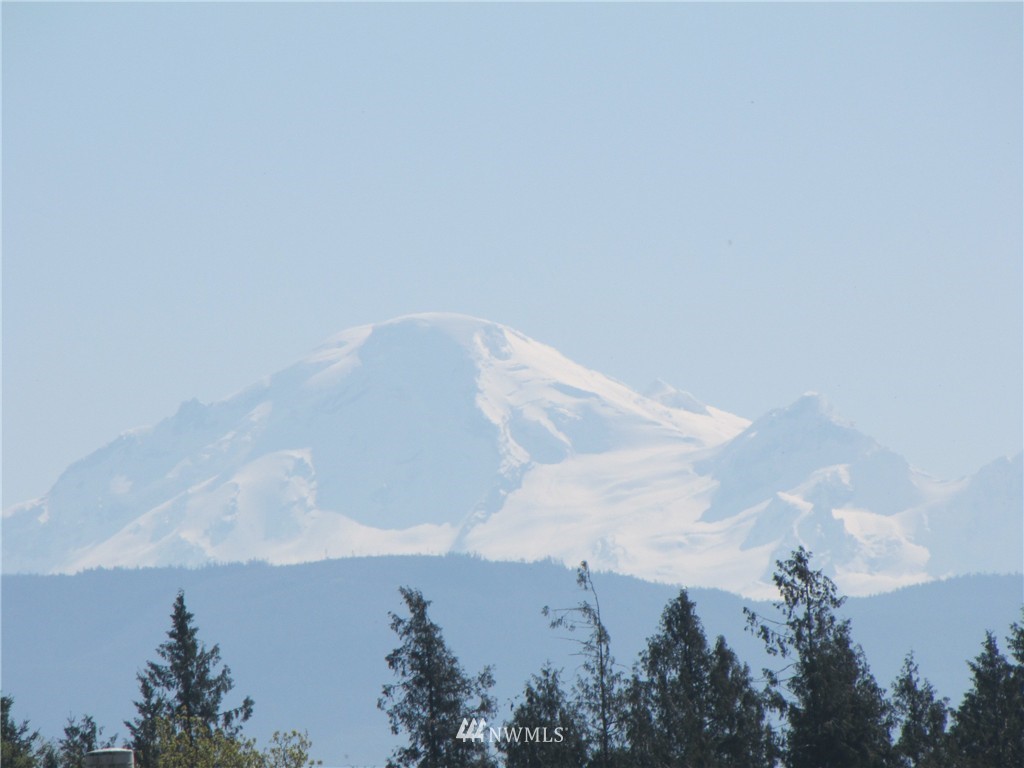 8683 Benson Road Lynden, WA 98264 - Photo 1 of 22
