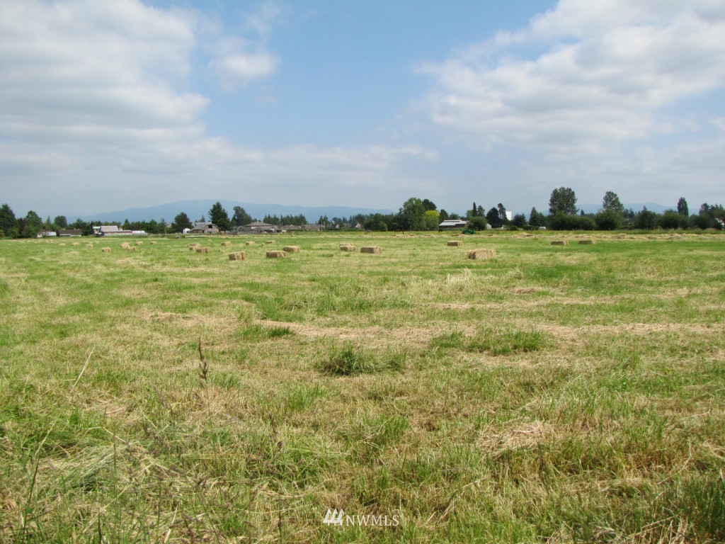 8683 Benson Road Lynden, WA 98264 - Photo 12 of 22