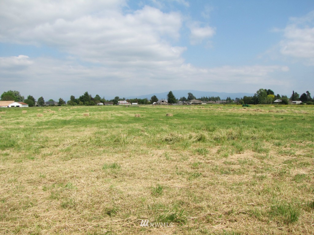 8683 Benson Road Lynden, WA 98264 - Photo 13 of 22