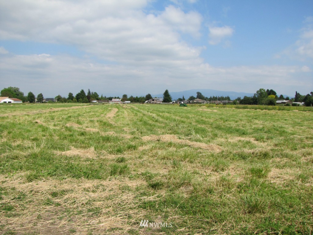 8683 Benson Road Lynden, WA 98264 - Photo 14 of 22