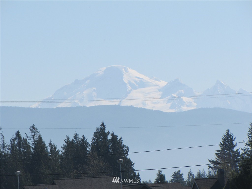 8683 Benson Road Lynden, WA 98264 - Photo 22 of 22