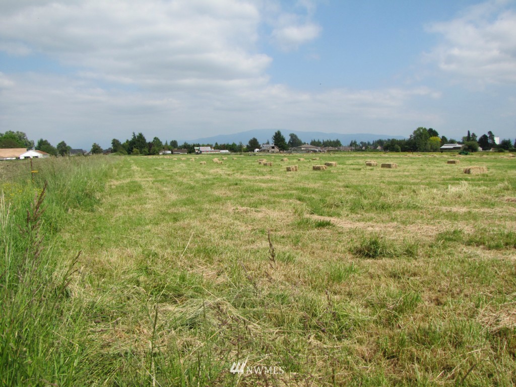 8683 Benson Road Lynden, WA 98264 - Photo 10 of 22