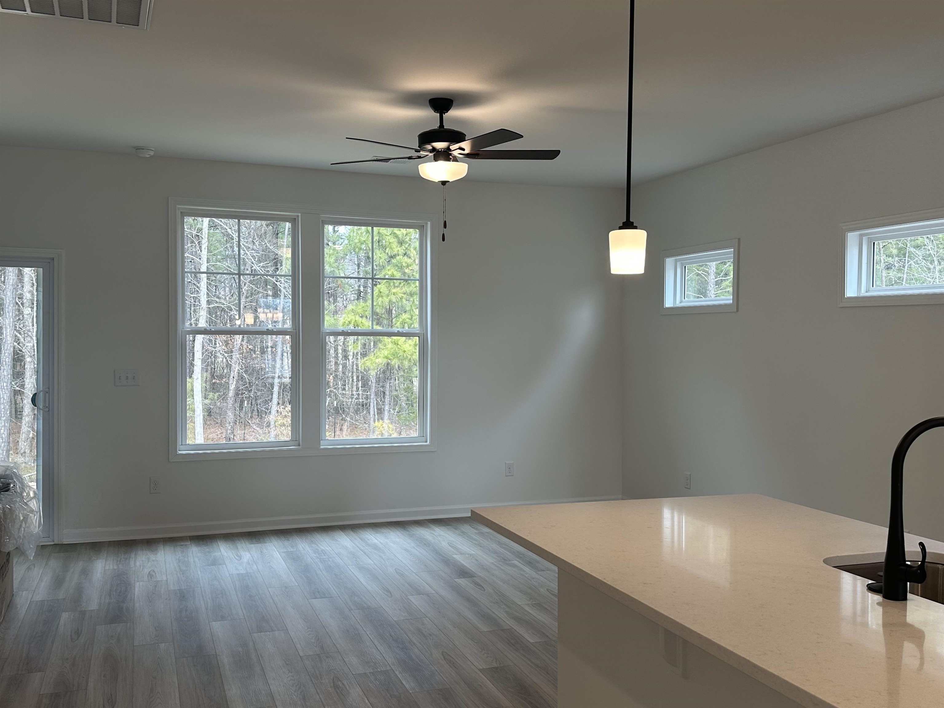 347 East Pyrenees Drive Lyman, SC 29365 - Photo 28 of 47