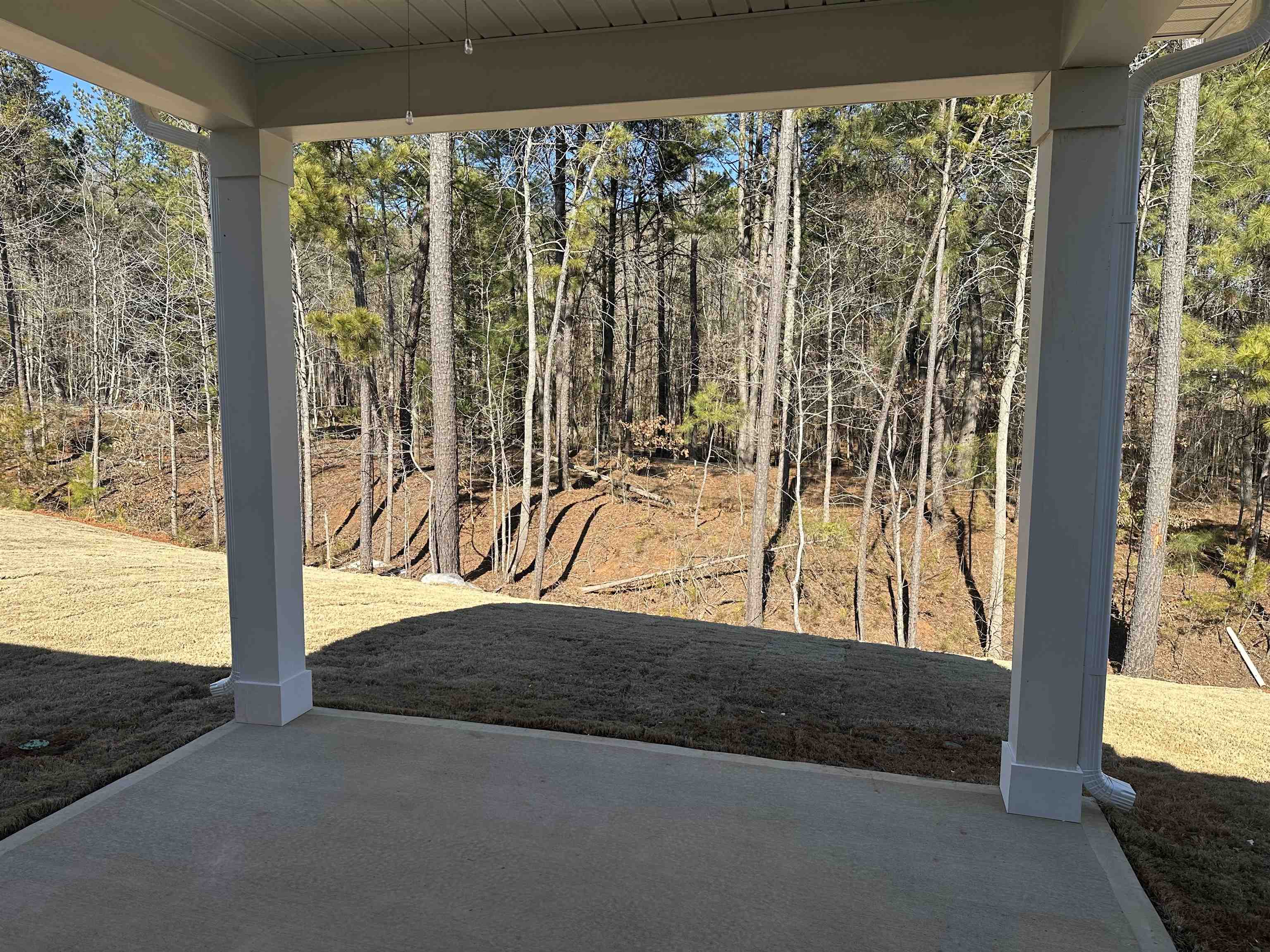 347 East Pyrenees Drive Lyman, SC 29365 - Photo 30 of 47