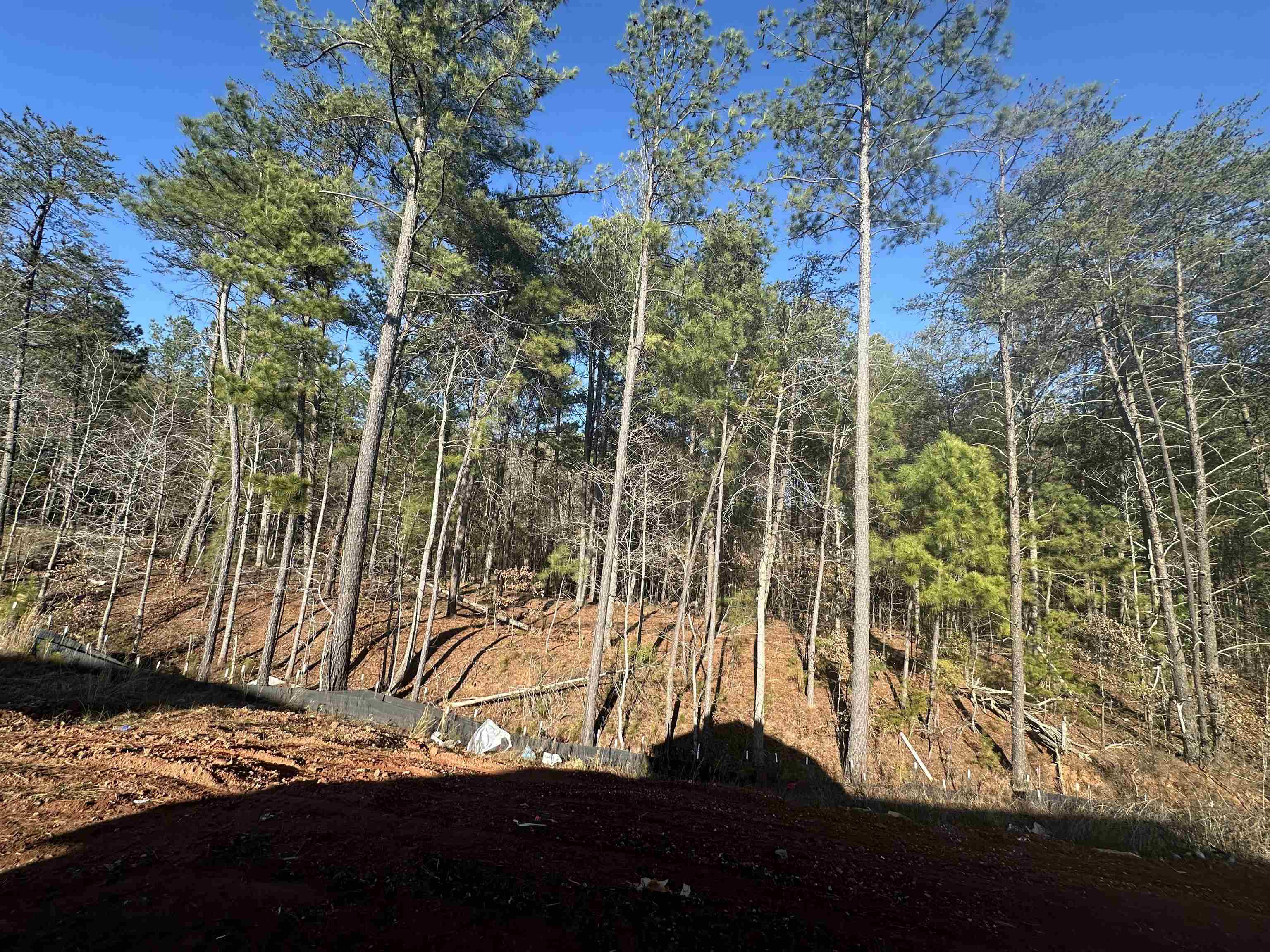 347 East Pyrenees Drive Lyman, SC 29365 - Photo 33 of 34