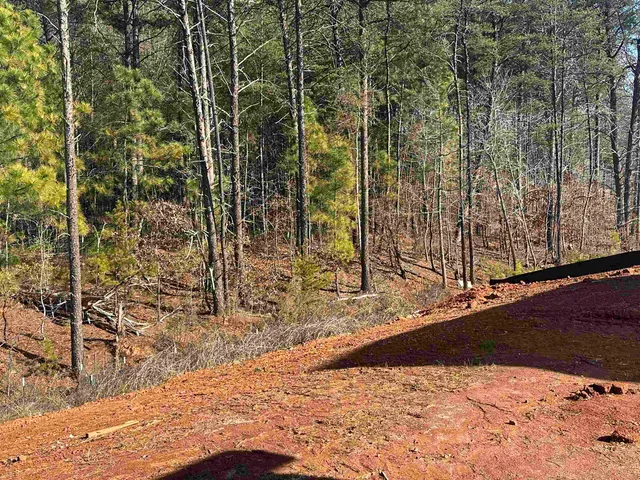 $331,754 | 347 East Pyrenees Drive, Lyman, SC 29365