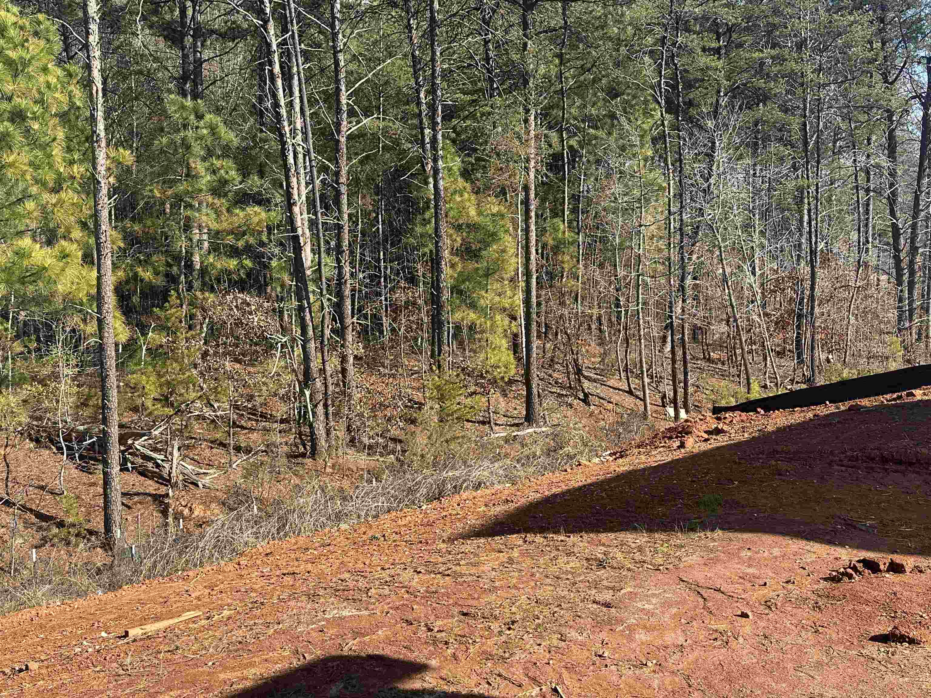 347 East Pyrenees Drive Lyman, SC 29365 - Photo 34 of 34