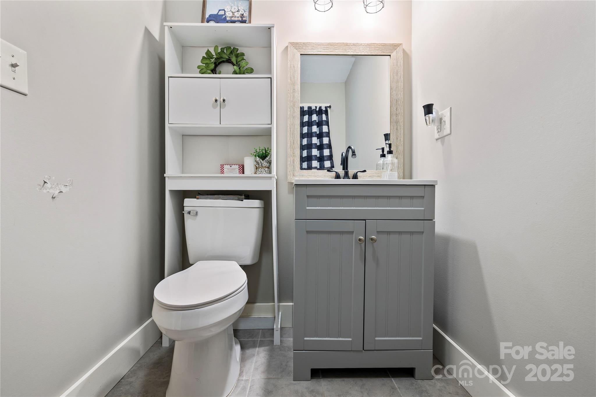 185 Ben Nevis Road Brevard, NC 28712 - Photo 15 of 42 a bathroom with a toilet a sink and mirror