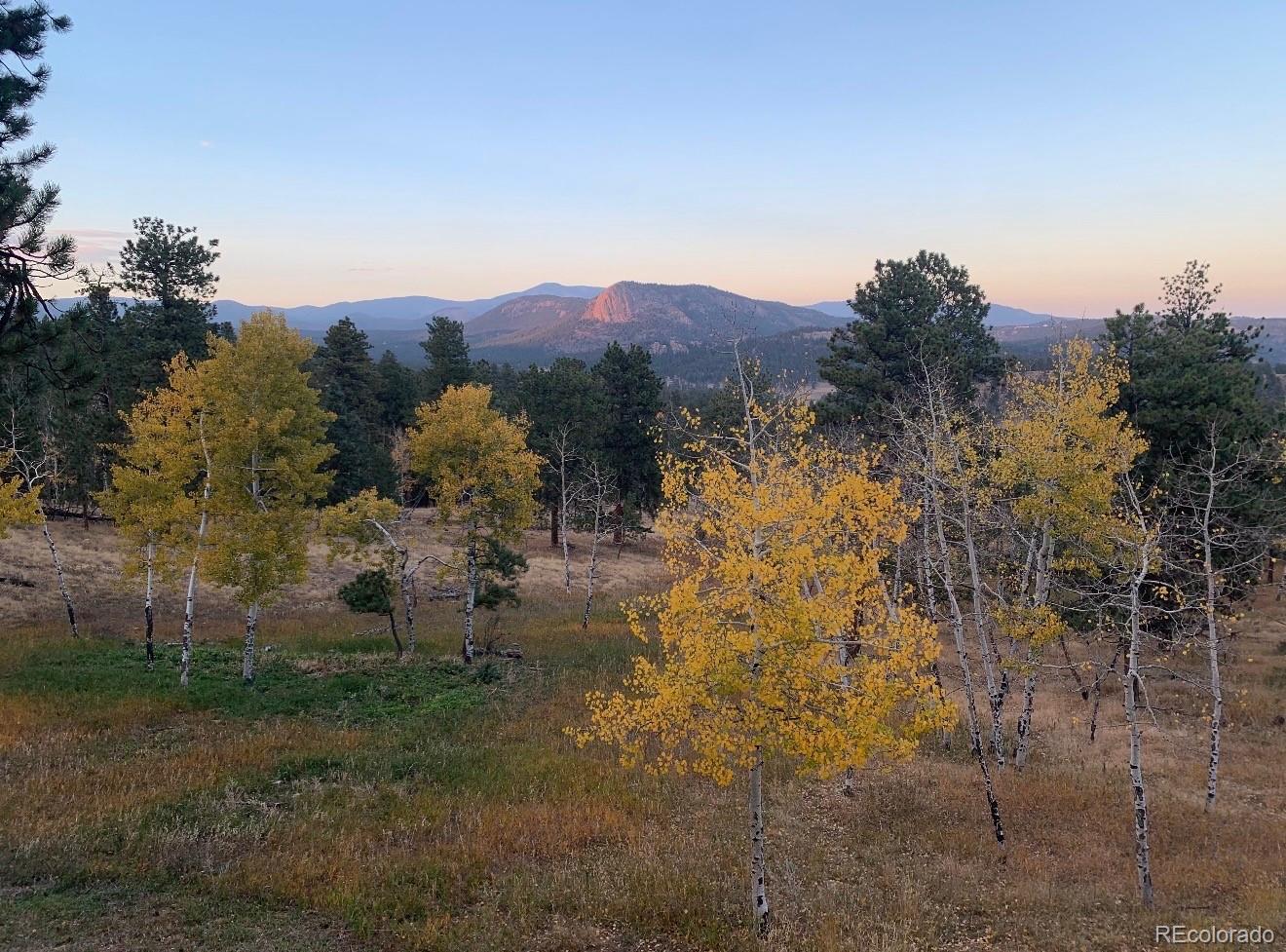 278 Overlook Drive Bailey, CO 80421 - Photo 40 of 48